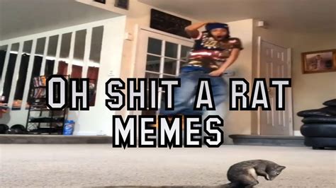 oh shit meme|Oh Shit, a Rat .